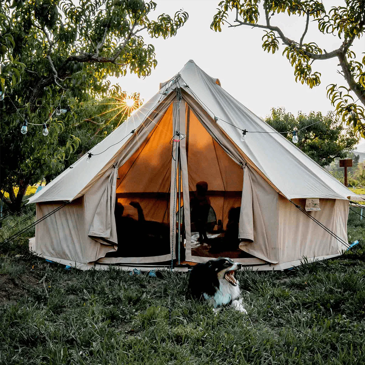 White Duck Outdoors 13' Regatta Bell Tent Fire/Water resistant X002U410QN