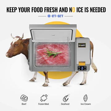 BougeRV CRPRO20 21 Quart 12V Portable Car Fridge Freezer